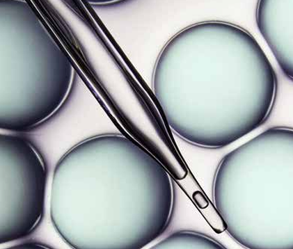 YACC雅肌核心价值